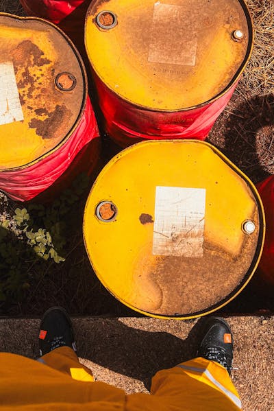 pexels-photo-24012713-1