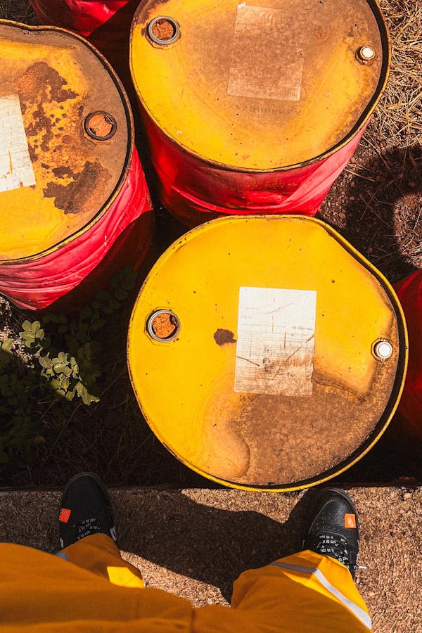 pexels-photo-24012713-2