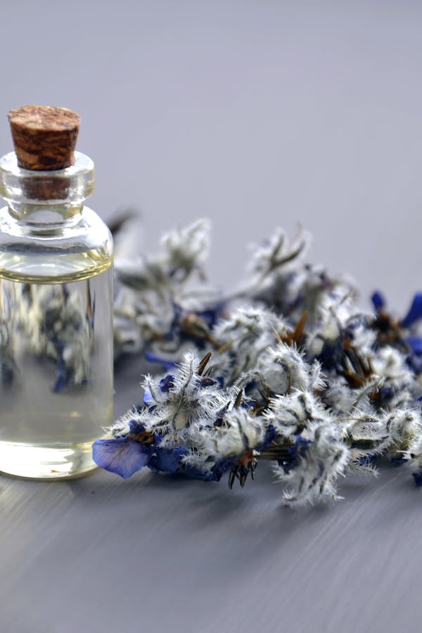 pexels-photo-932577-2